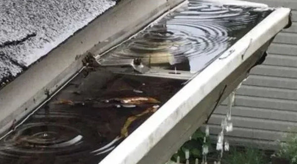 The Hidden Cost of Blocked Gutters (And Why Insurance Might Not Save You)