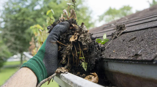 Think Gutter Guards Mean No Cleaning? Think Again!