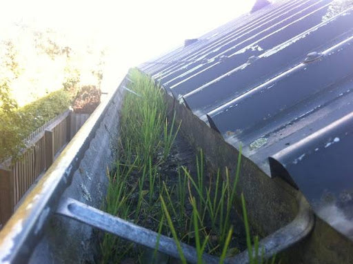 How Often Should You Clean Your Gutters? Expert Tips for Every Season