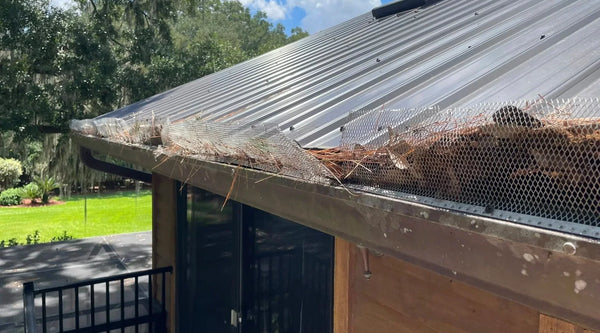Beyond Gutter Guard: Better Solutions for Gutter Maintenance
